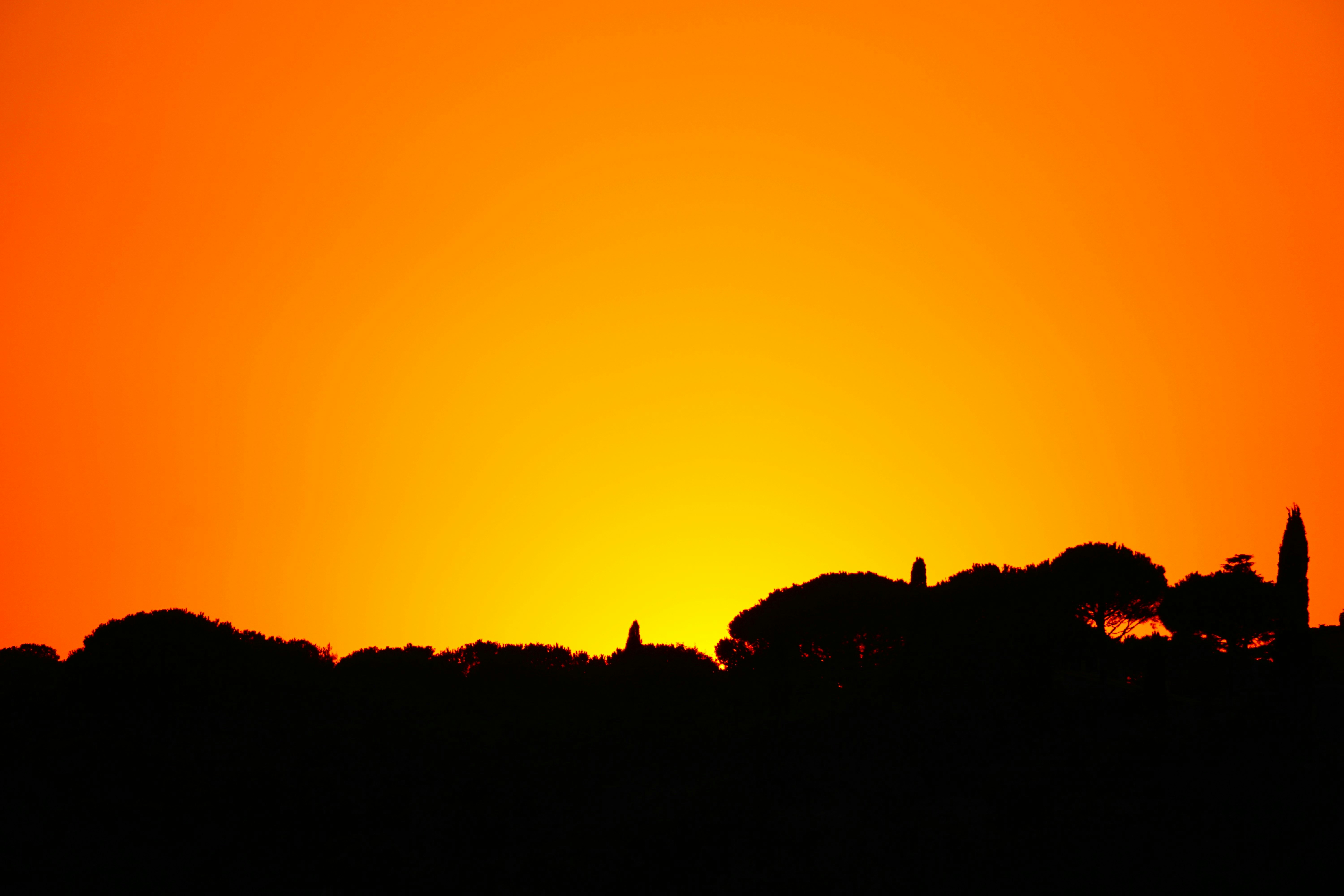 Photo by jan_zinnbauer