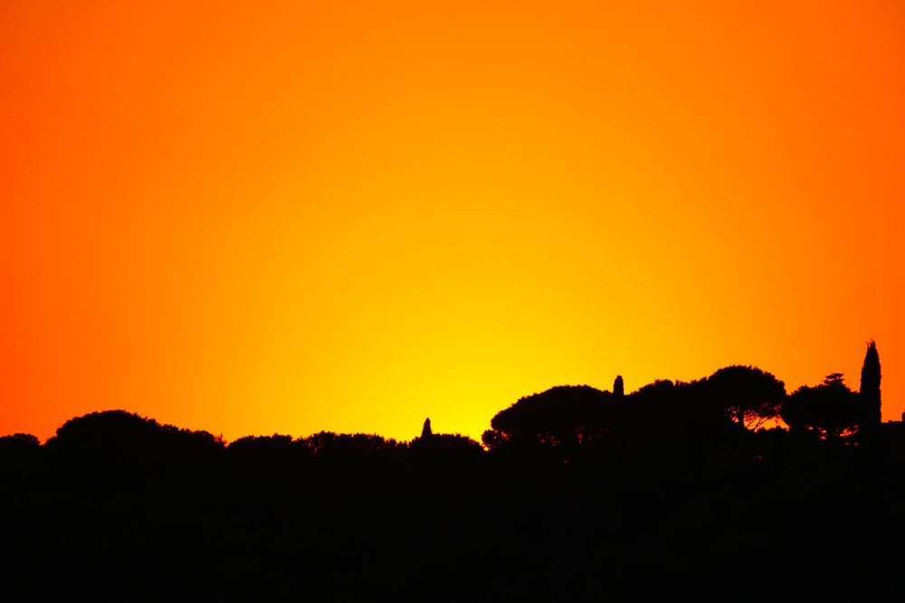 a silhouette of trees against a bright orange sky