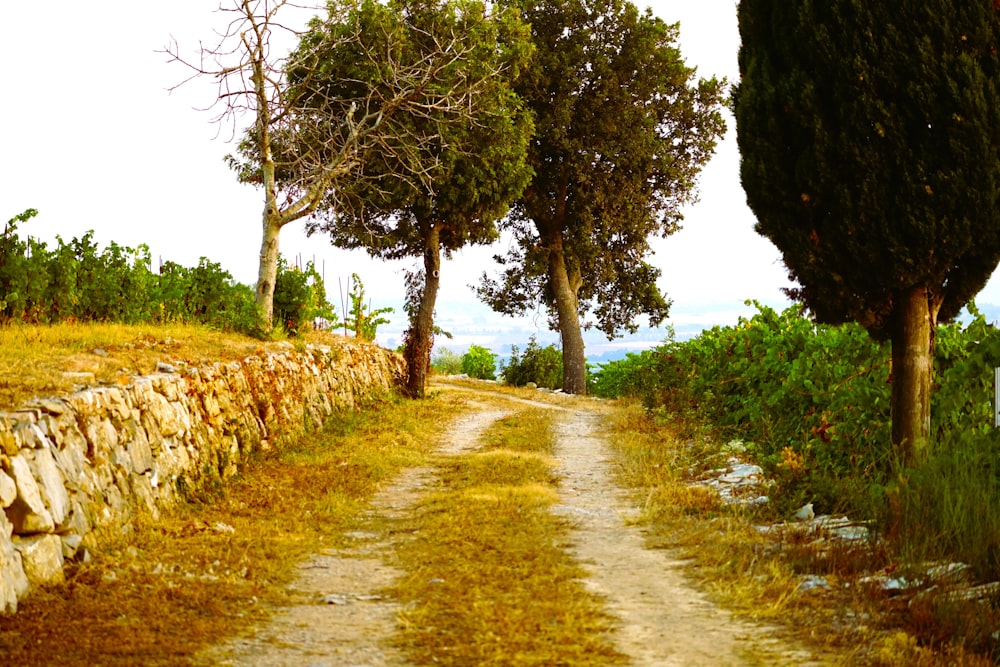 a dirt road surrounded by trees and a stone wall