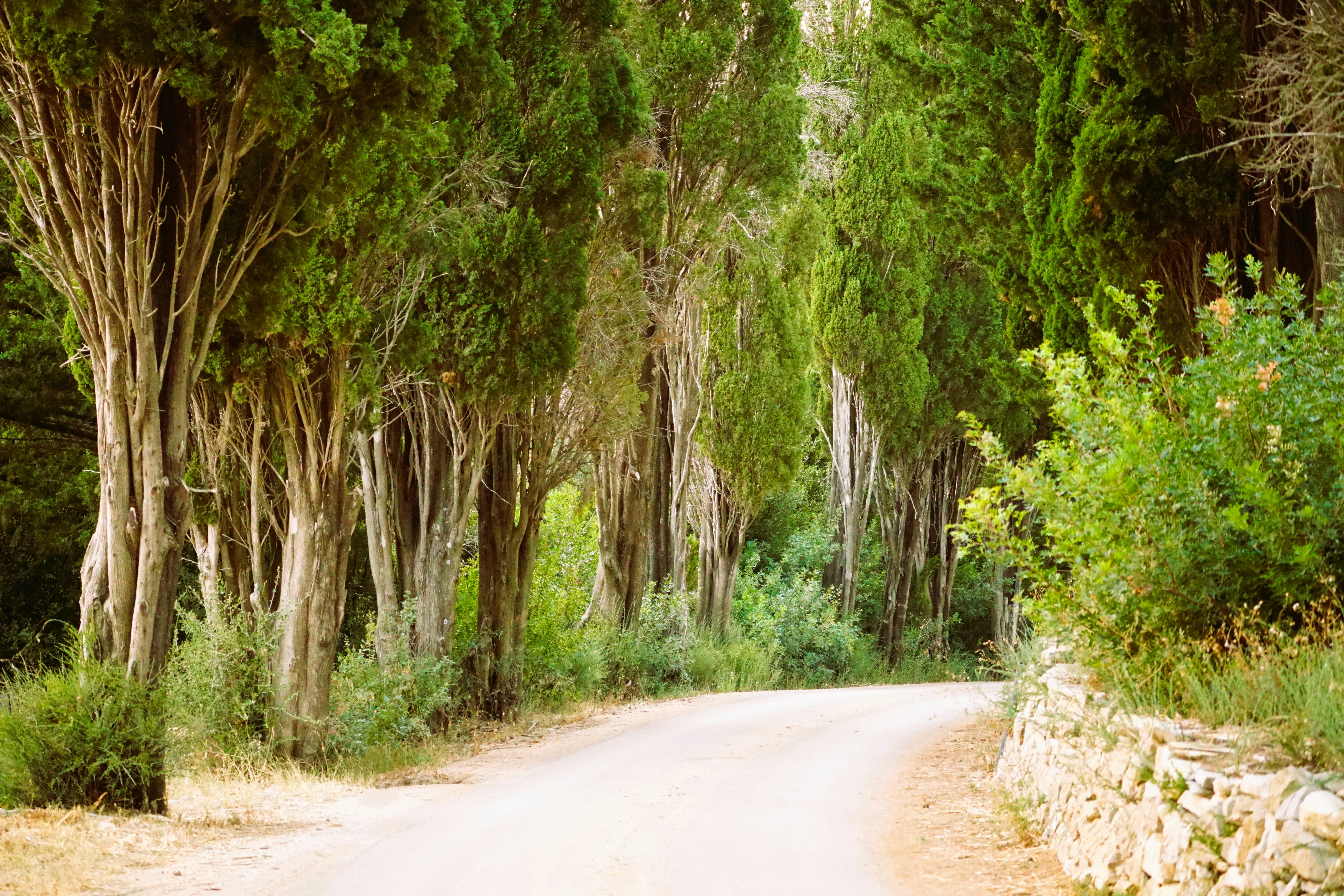 Photo by jan_zinnbauer