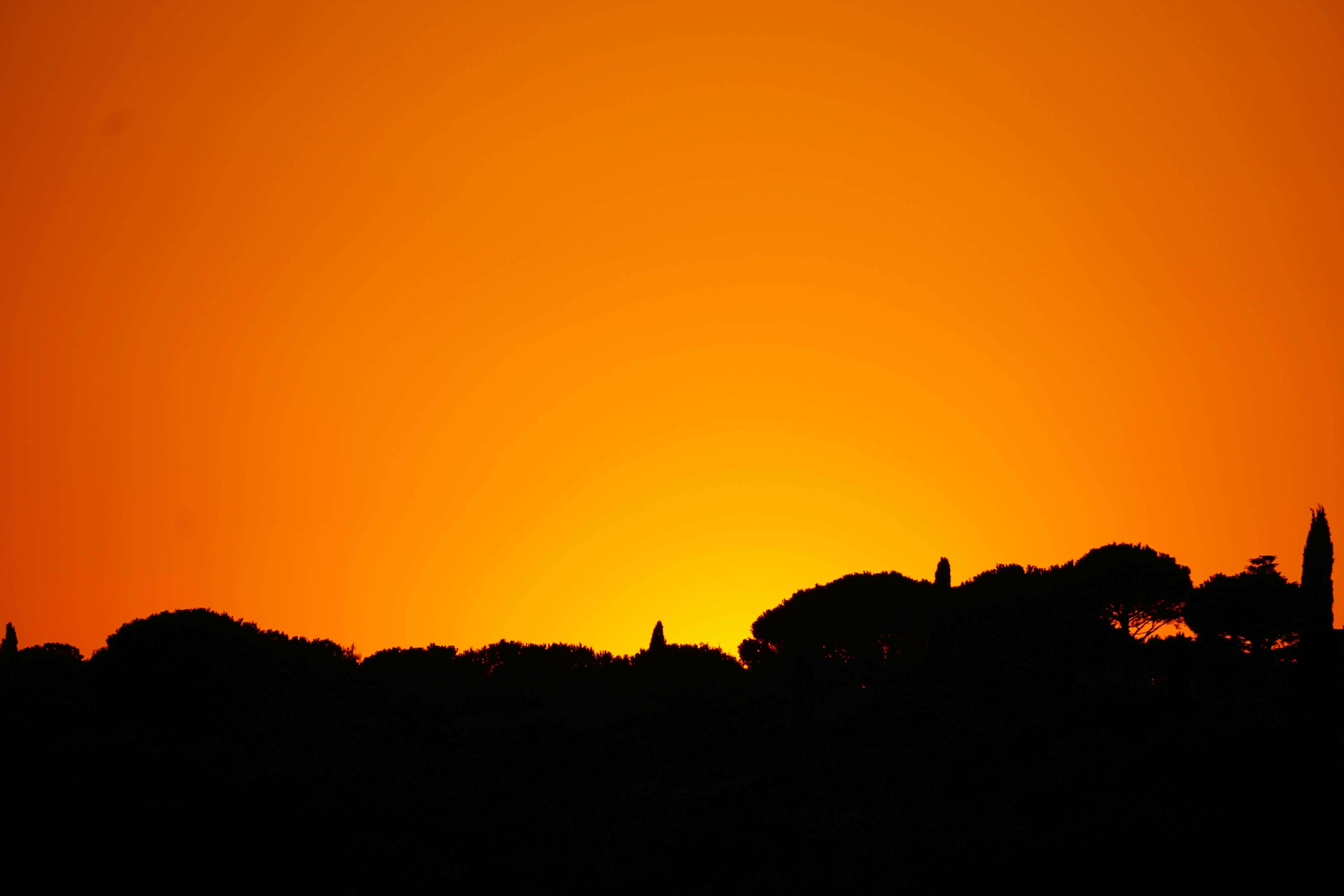 Photo by jan_zinnbauer