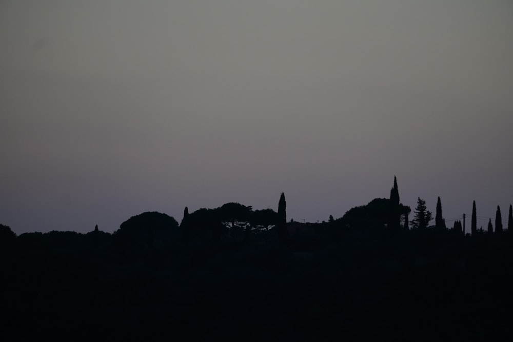 a silhouette of a hill with trees in the background