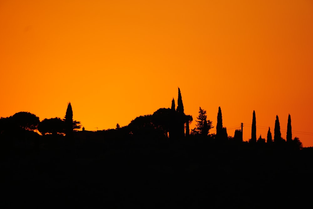 a silhouette of trees against a bright orange sky
