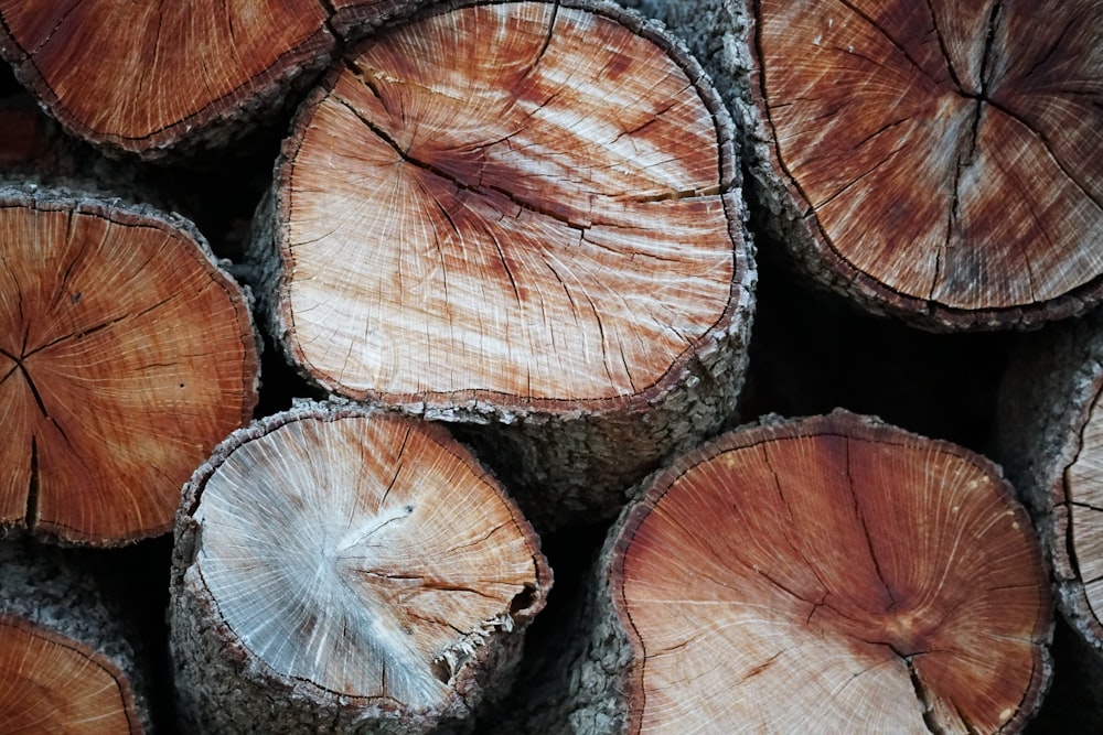 a pile of cut logs sitting next to each other