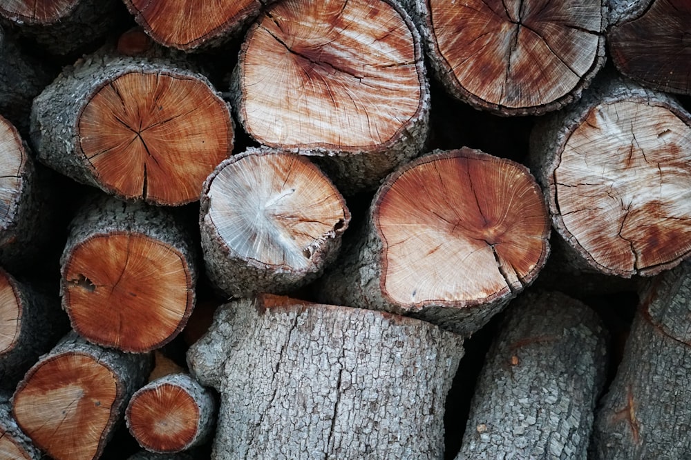 a pile of cut logs stacked on top of each other