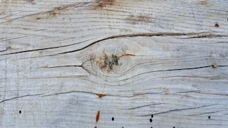 Weathered wooden surface with visible grain patterns and a prominent knot in the center. The wood appears aged, with natural cracks and some reddish-brown discolorations.
