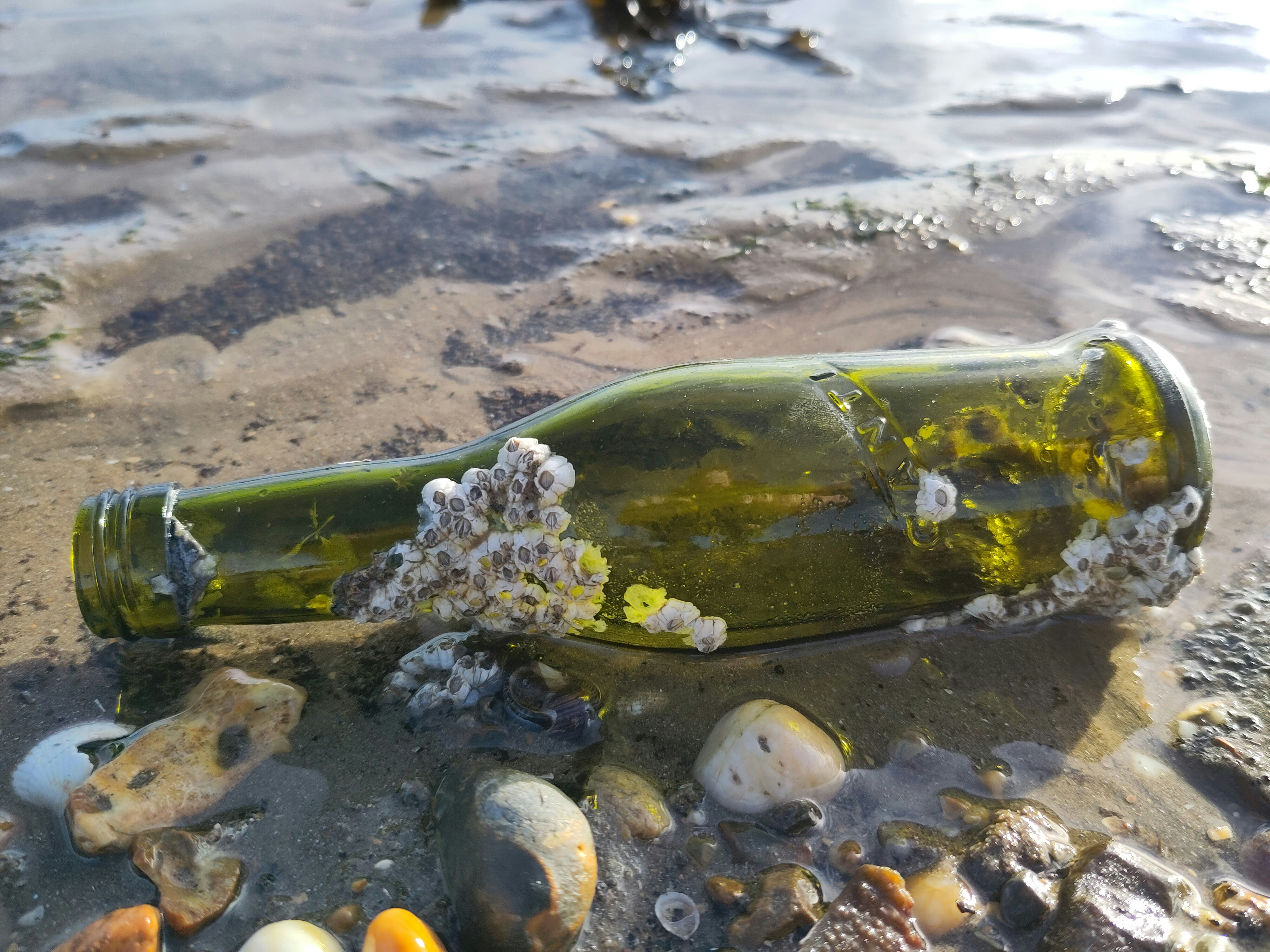 a bottle that is sitting in the sand
