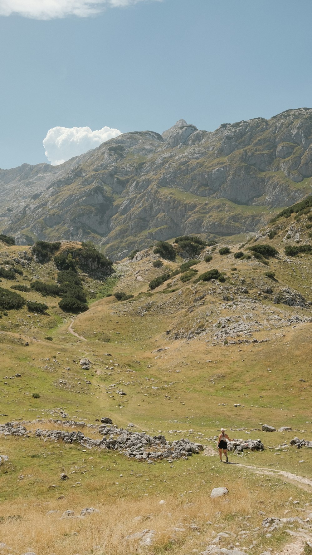 a person walking in a field with mountains in the background