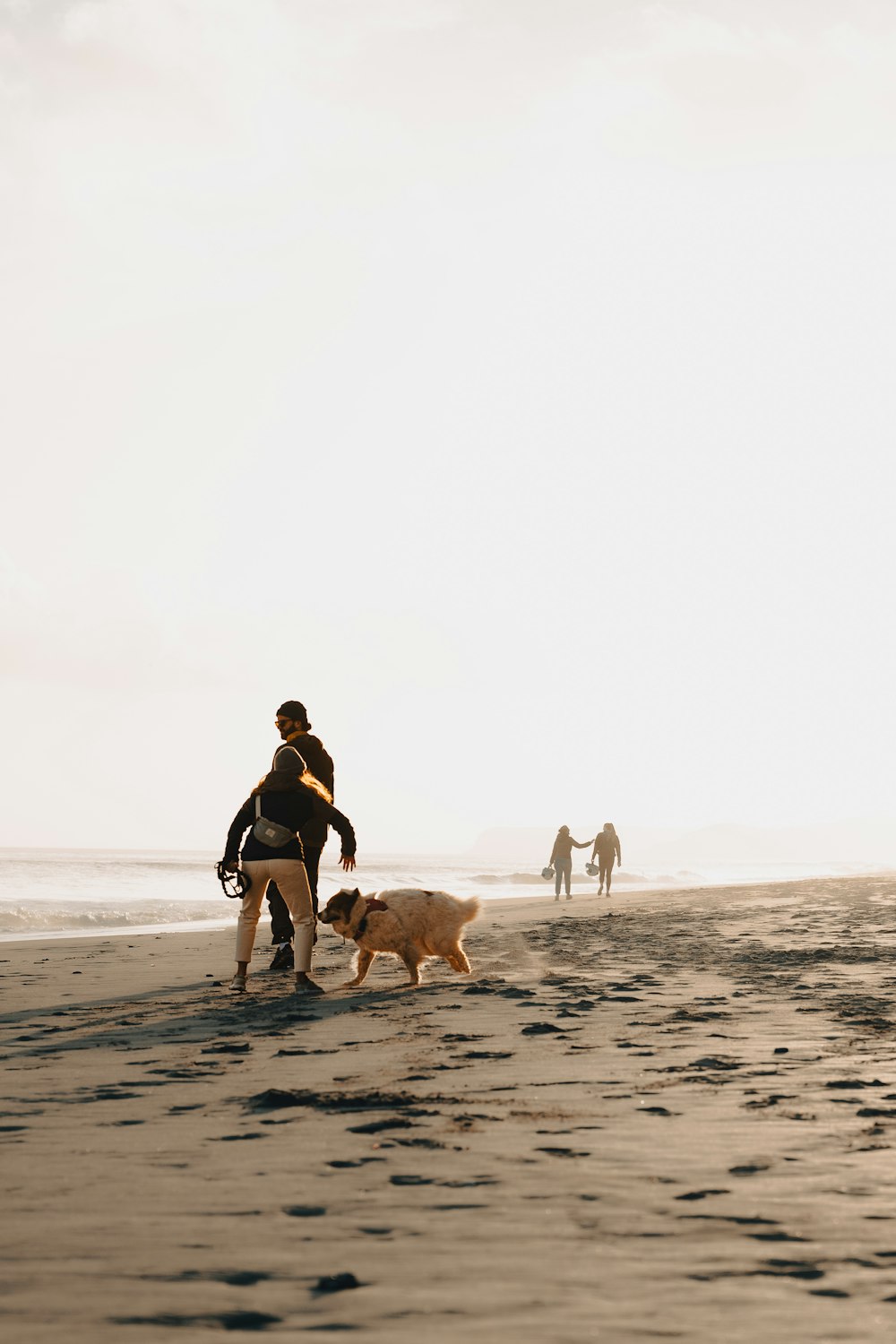 a person walking a dog on a beach
