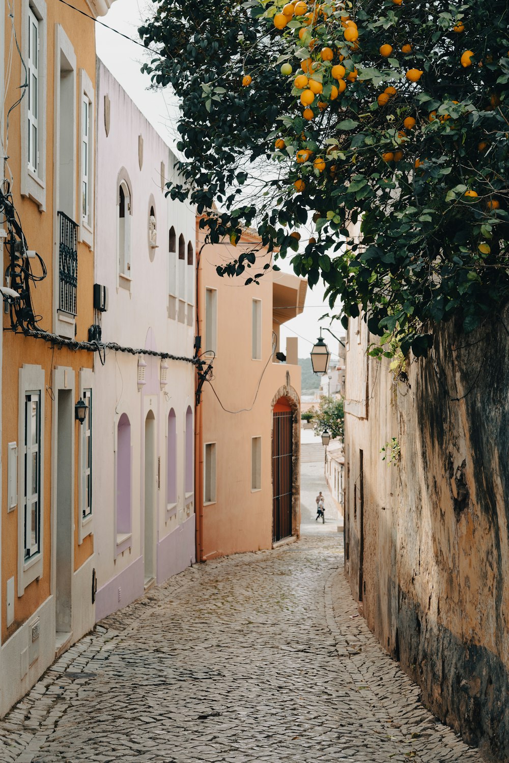 a cobblestone street lined with orange trees