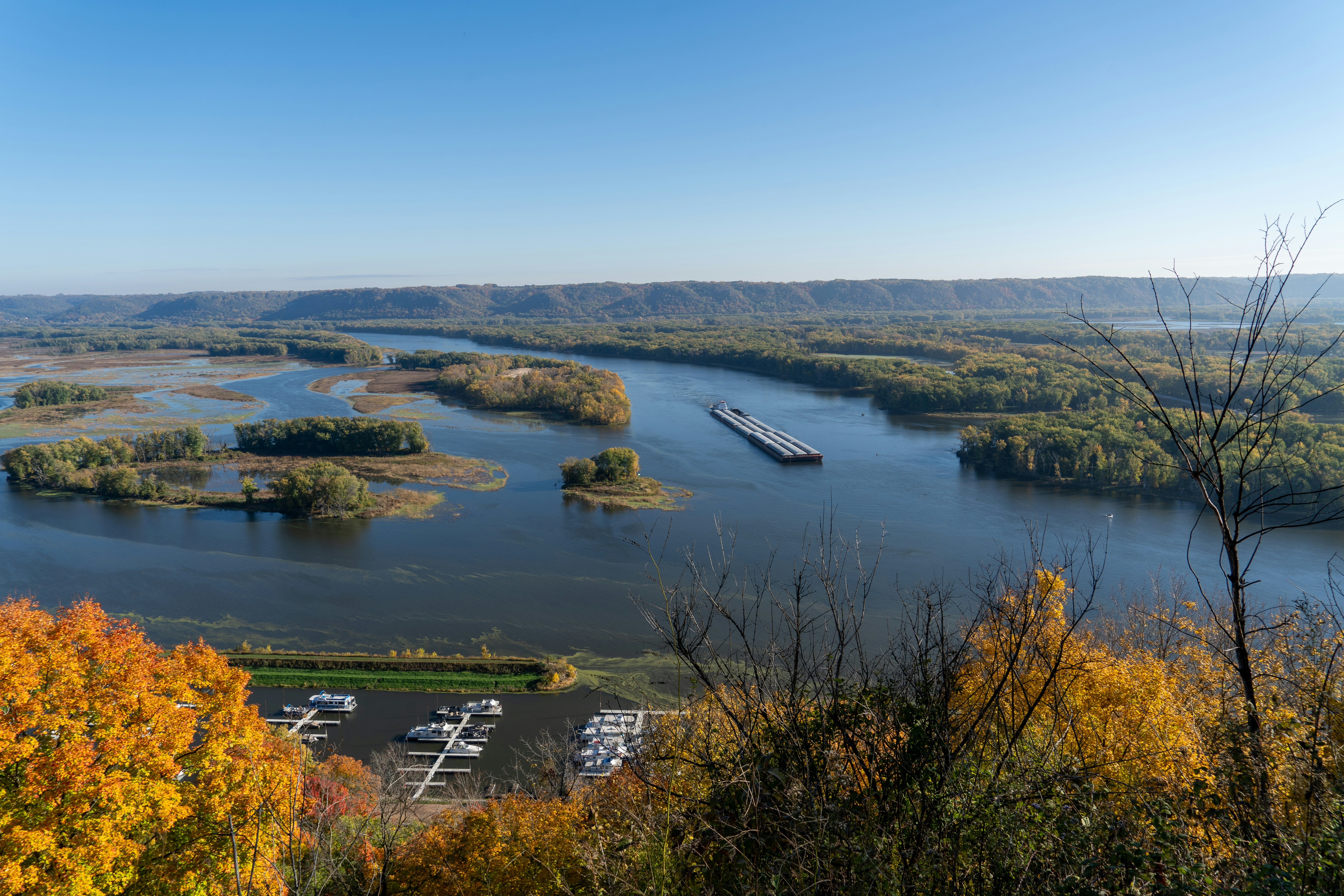 a lake surrounded by a forest filled with lots of trees
