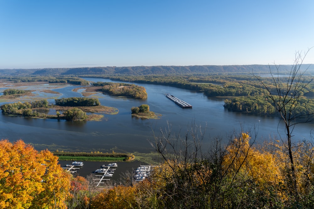 a lake surrounded by a forest filled with lots of trees