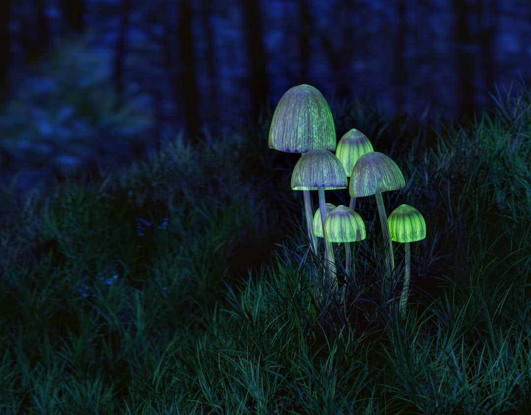a group of mushrooms glowing in the dark forest, Glowing psilocybin mushroom in the night forest