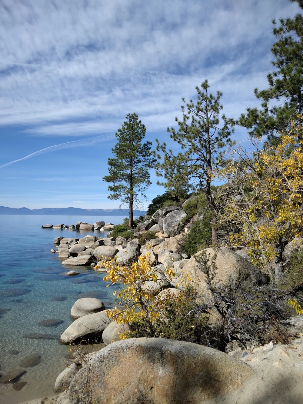 a rocky shore with trees and water on a sunny day