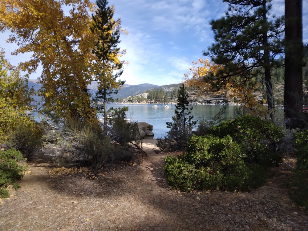 a view of a lake through some trees