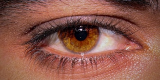 A close-up photograph of a human eye with hazel coloring. The iris features a vibrant pattern of golden brown with subtle darker shades near the pupil. The eyelashes and eyebrow are clearly visible, with fine details of skin texture surrounding the eye.