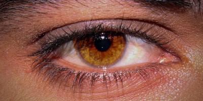 A close-up photograph of a human eye with hazel coloring. The iris features a vibrant pattern of golden brown with subtle darker shades near the pupil. The eyelashes and eyebrow are clearly visible, with fine details of skin texture surrounding the eye.