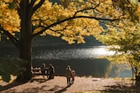 Family enjoying a peaceful moment on a wooden bench overlooking the farmland.