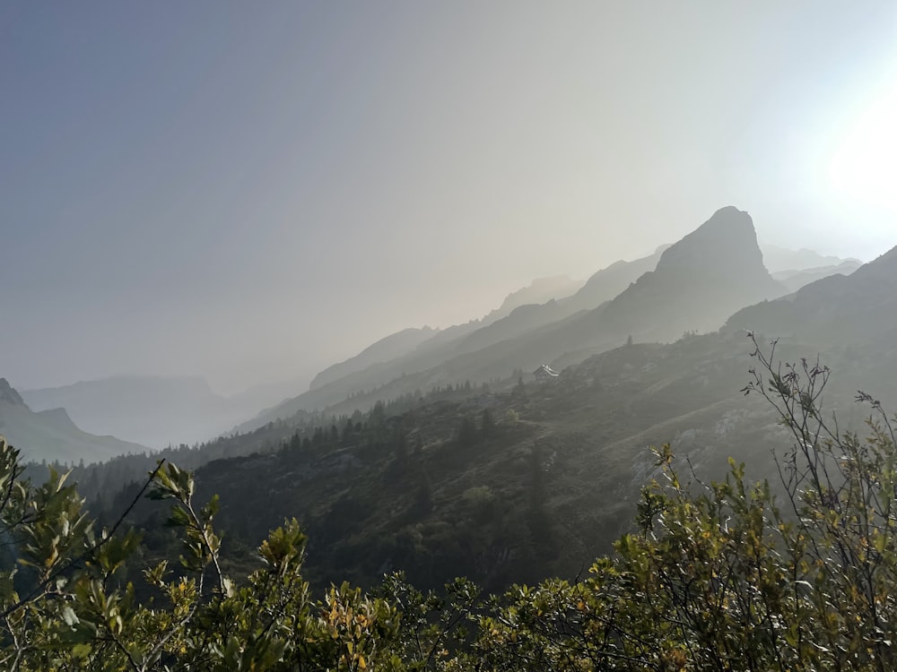 the sun shines on the mountains and trees