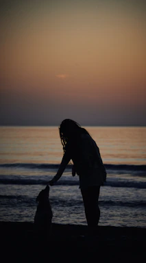 A gentle hand reaching out to a rescued dog in a sunlit natural setting.