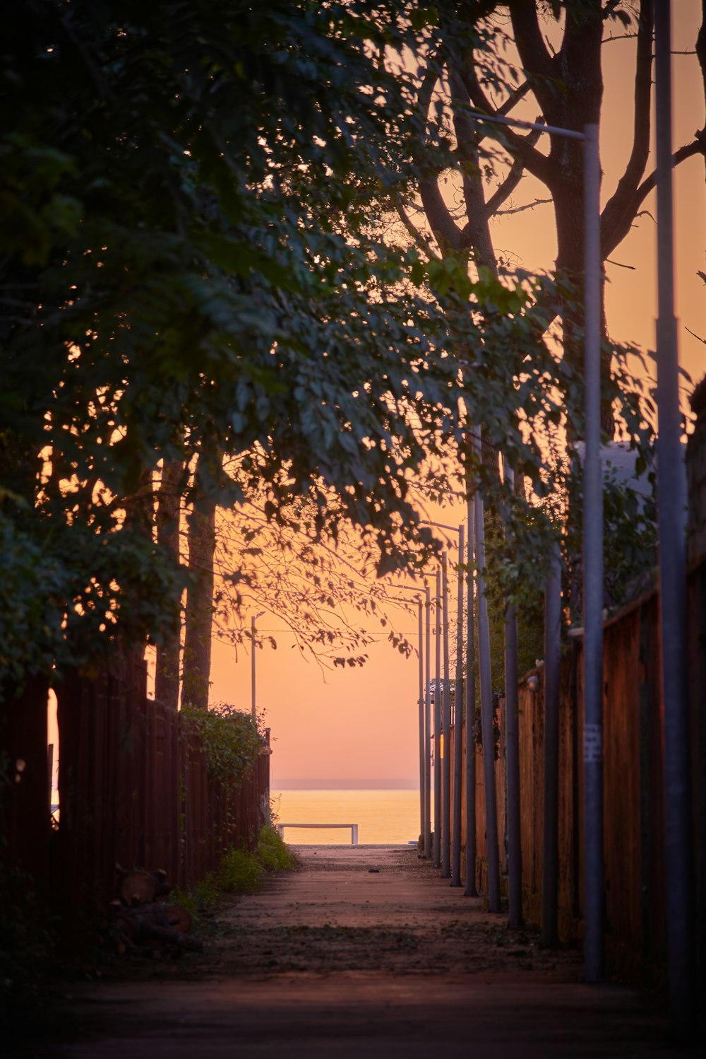 a pathway leading to a beach at sunset