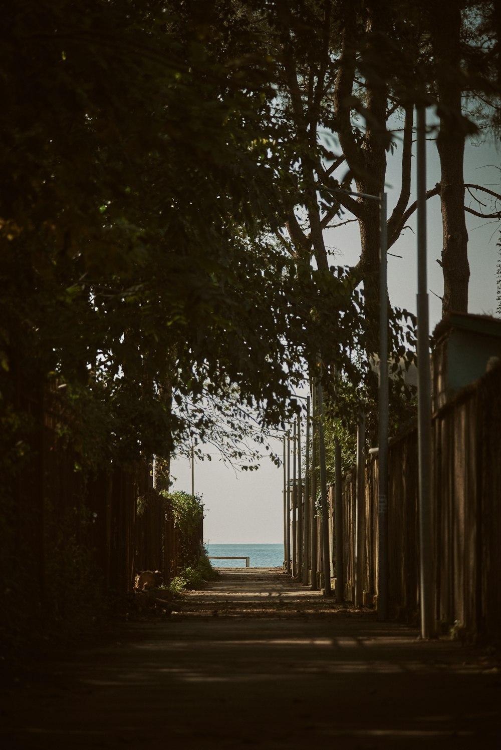 a street with trees and a bench on the side of it