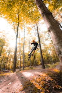 Trailblazer Mountain Bike