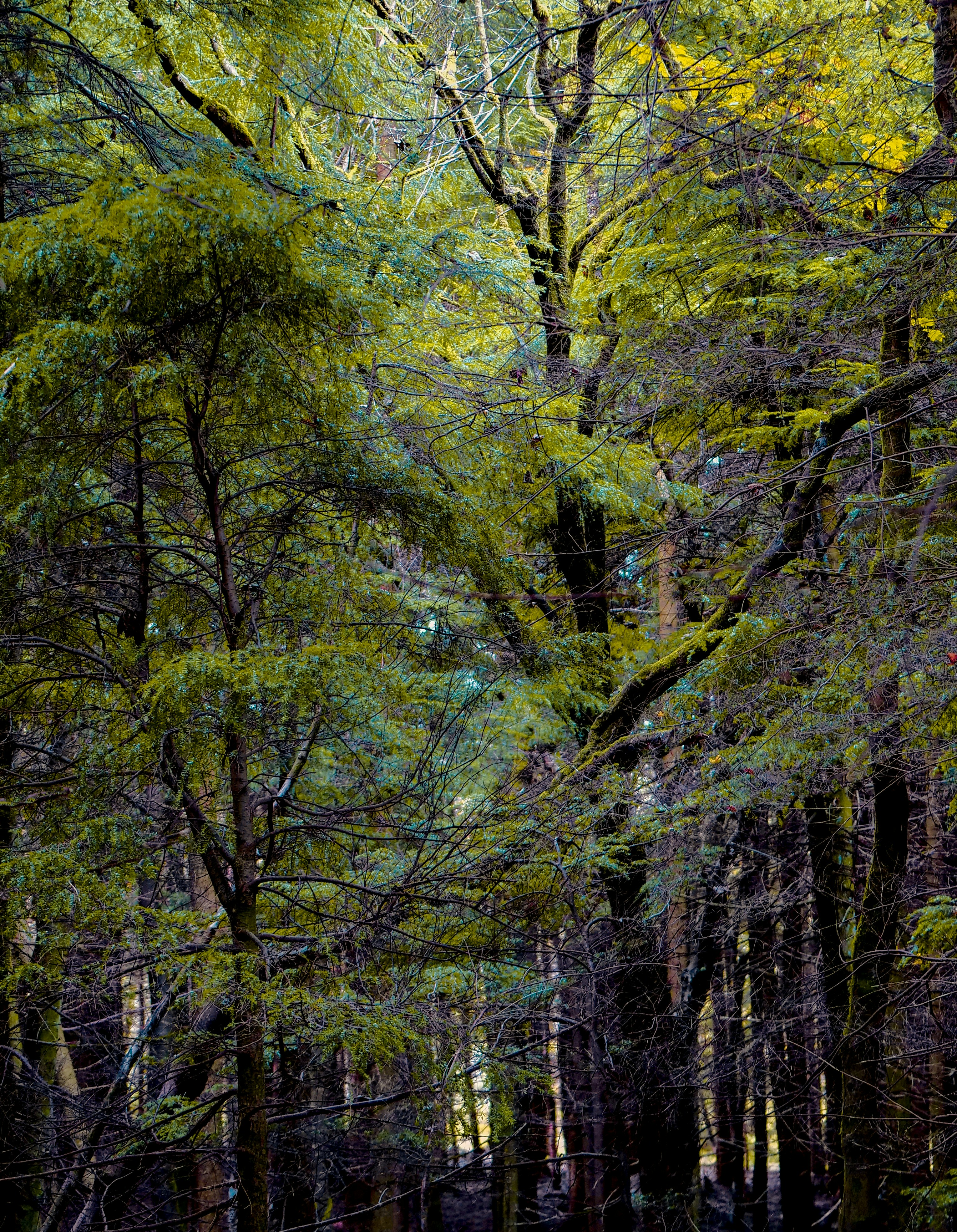 Photo by bryan151055