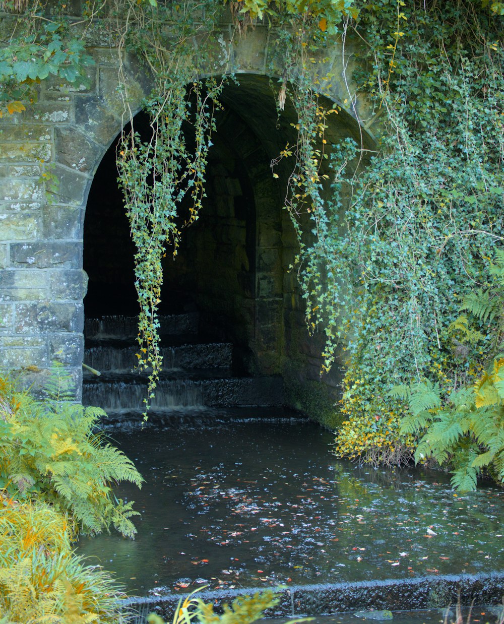 a stone tunnel with water flowing out of it