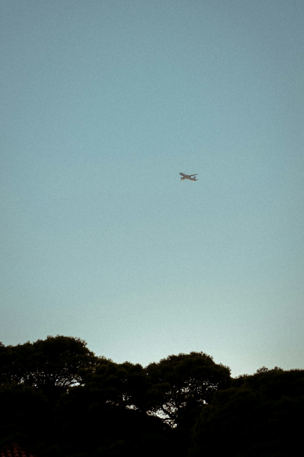 ein Flugzeug, das am Himmel über Bäume fliegt