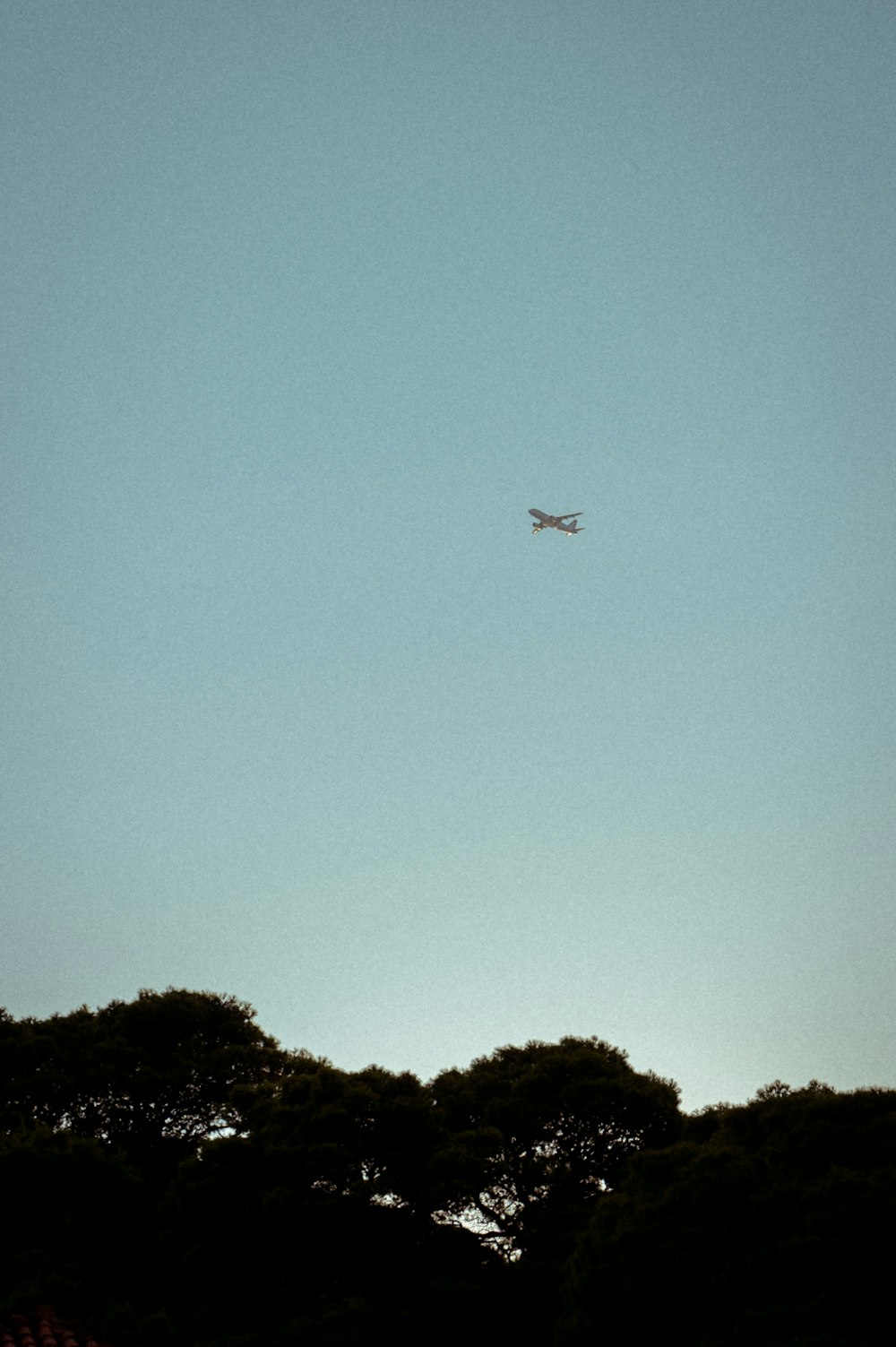 un avión volando en el cielo sobre los árboles