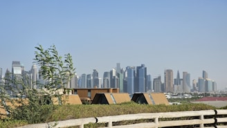 a view of a city skyline from a hill