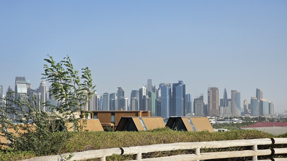 a view of a city skyline from a hill