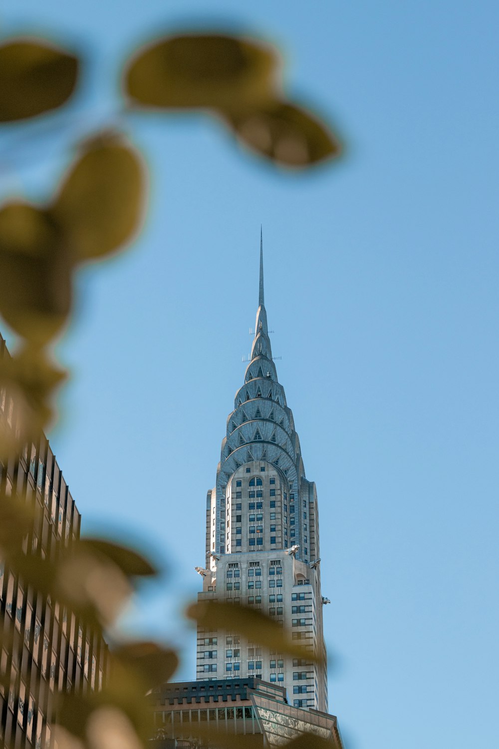 a view of a very tall building from the ground