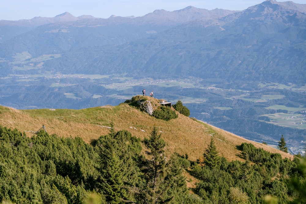 a couple of people standing on top of a lush green hillside