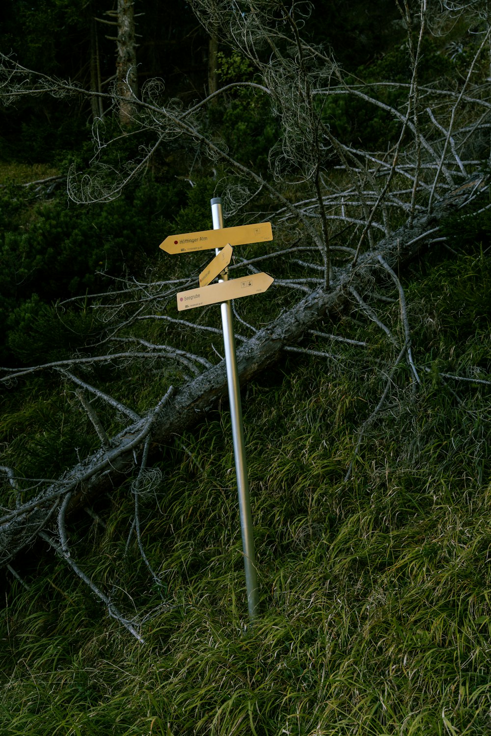 a wooden sign sitting on the side of a lush green forest