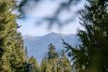 A serene view of a forested mountain range.
