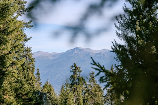 A serene view of a forested mountain range.