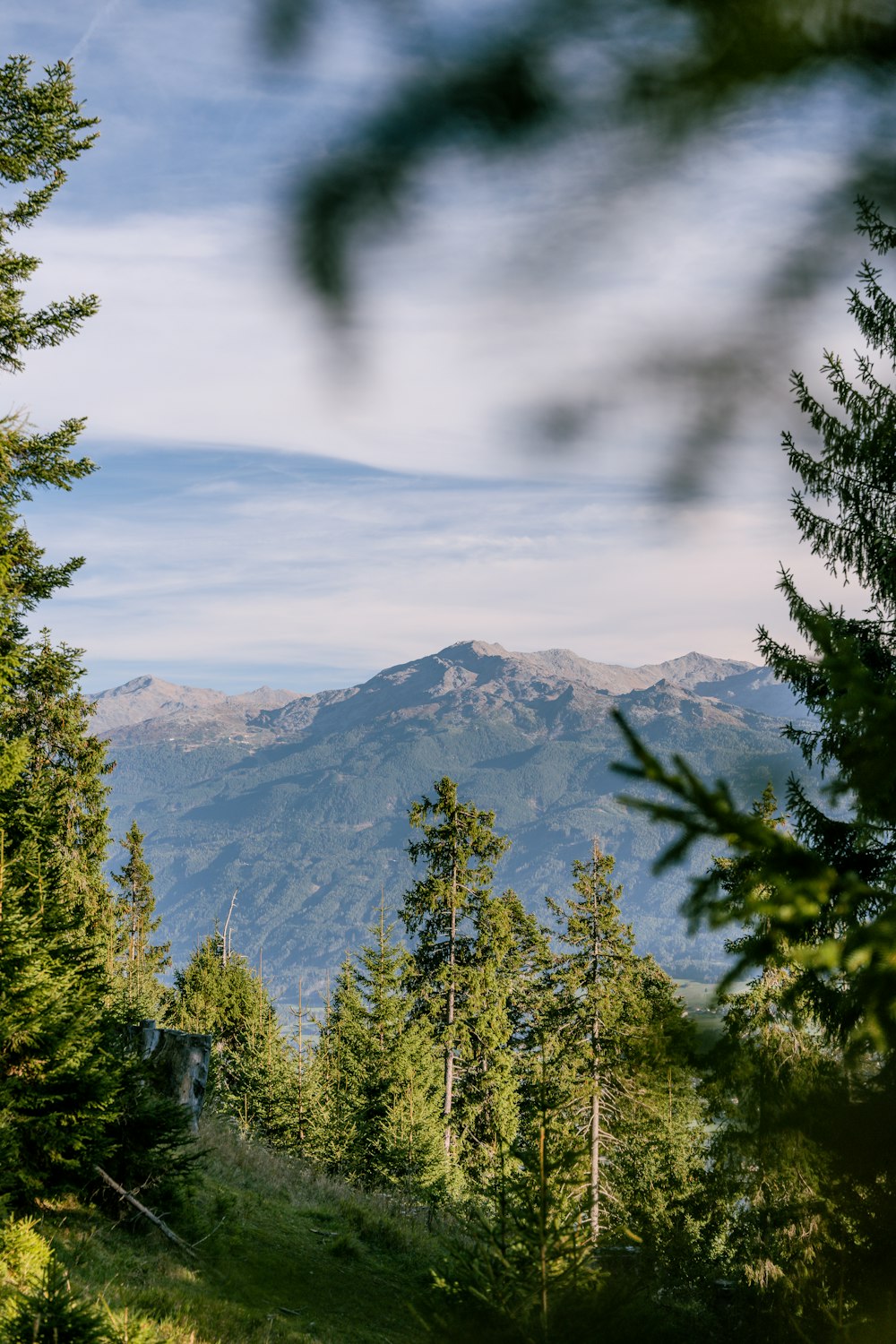 a view of a mountain range through the trees