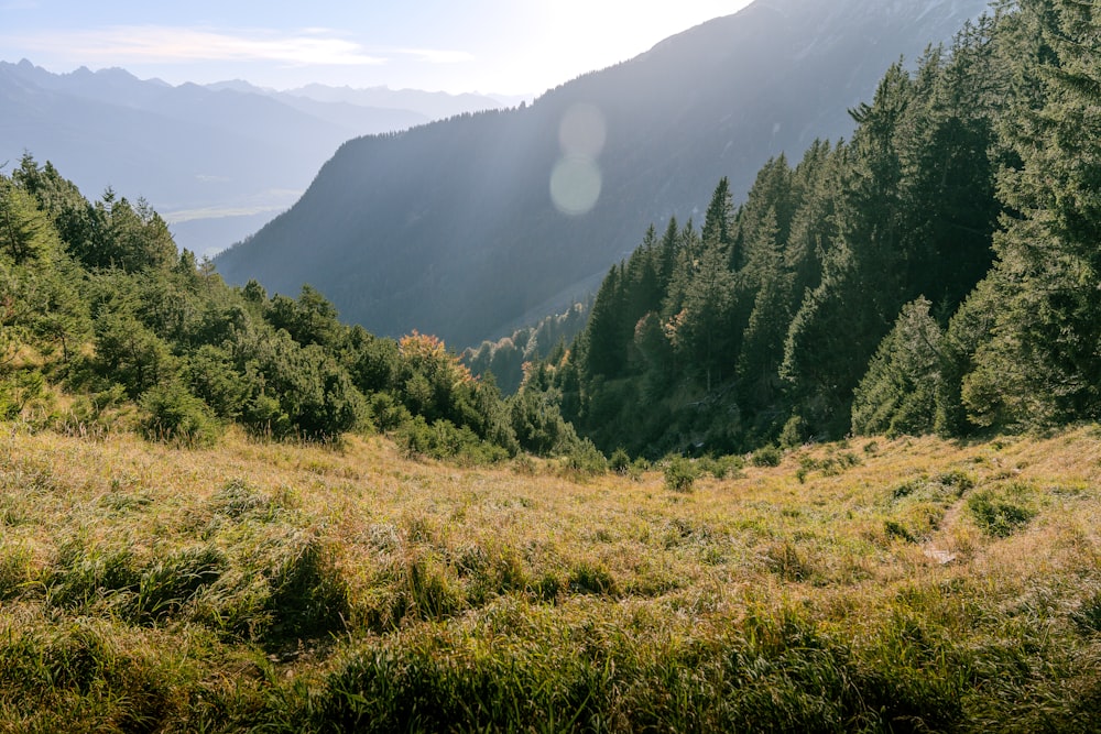 the sun shines on a grassy area in the mountains