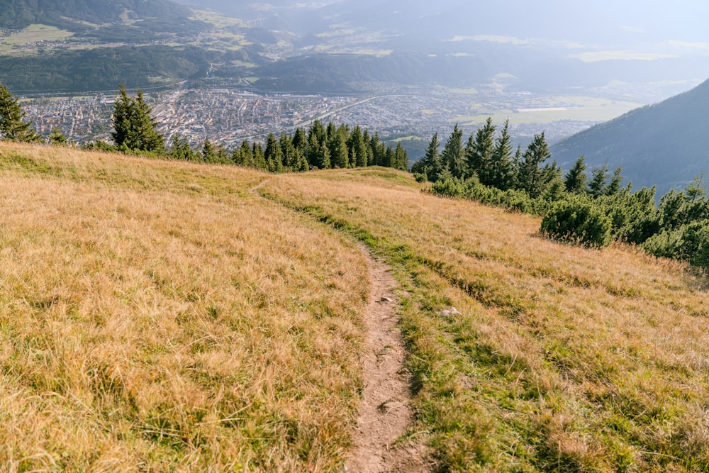 a trail going up a grassy hill with a city in the distance