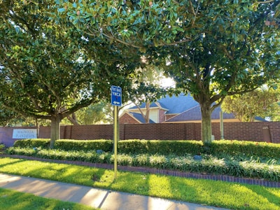 Two large trees with lush green foliage provide shade over a sidewalk and a street sign indicating directions to Fort Bend YMCA. A brick wall forms the backdrop, partially obscuring a residential structure with a sloped roof. The grass is well-maintained, bordered by small shrubs and a sign reading 'Magnolia Plantation'.