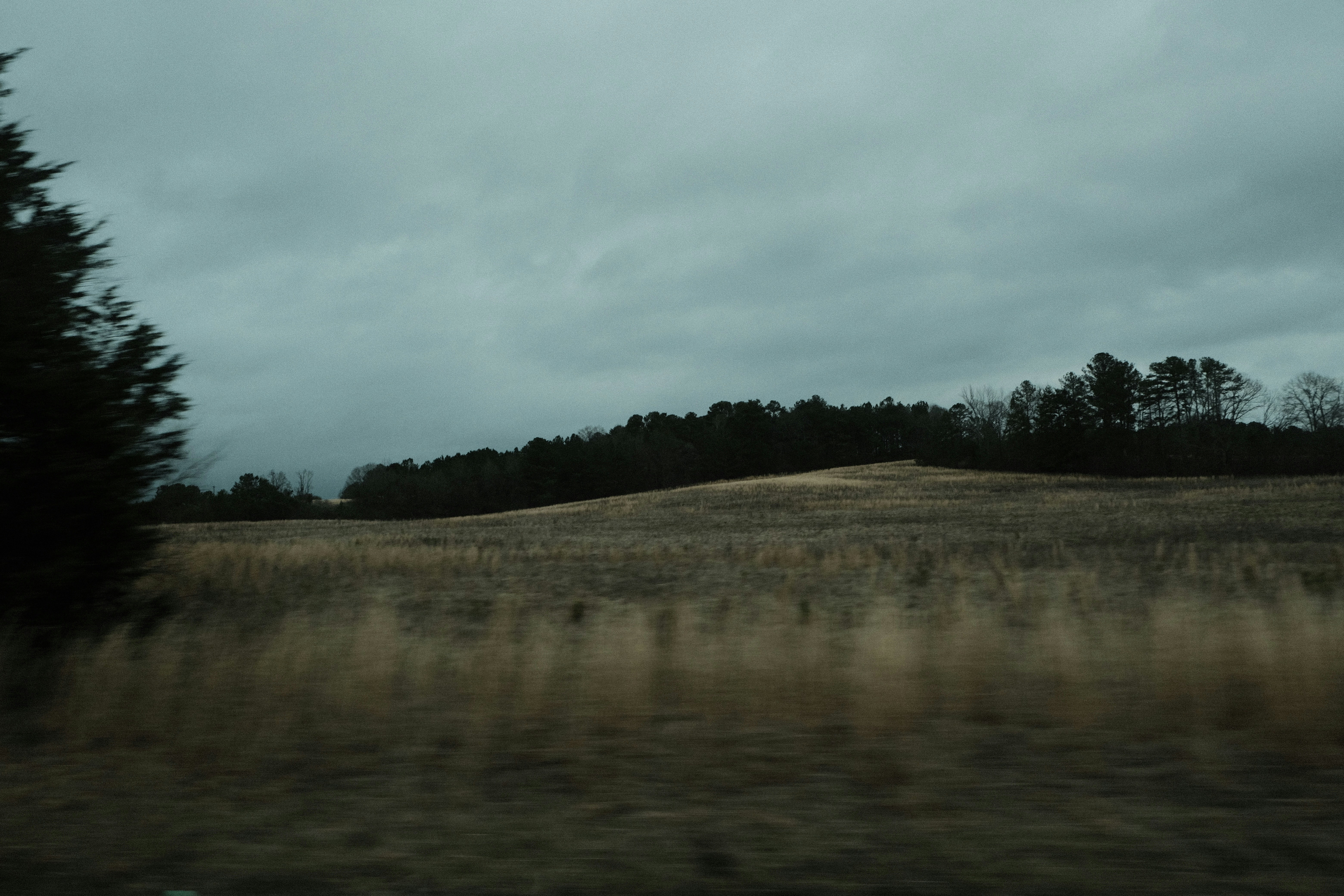 a grassy field with trees on a cloudy day, 