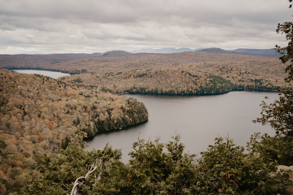 a lake surrounded by trees in the middle of a forest