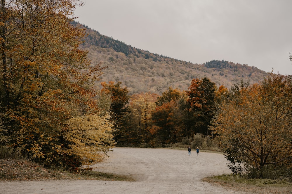 two people walking down a dirt road surrounded by trees