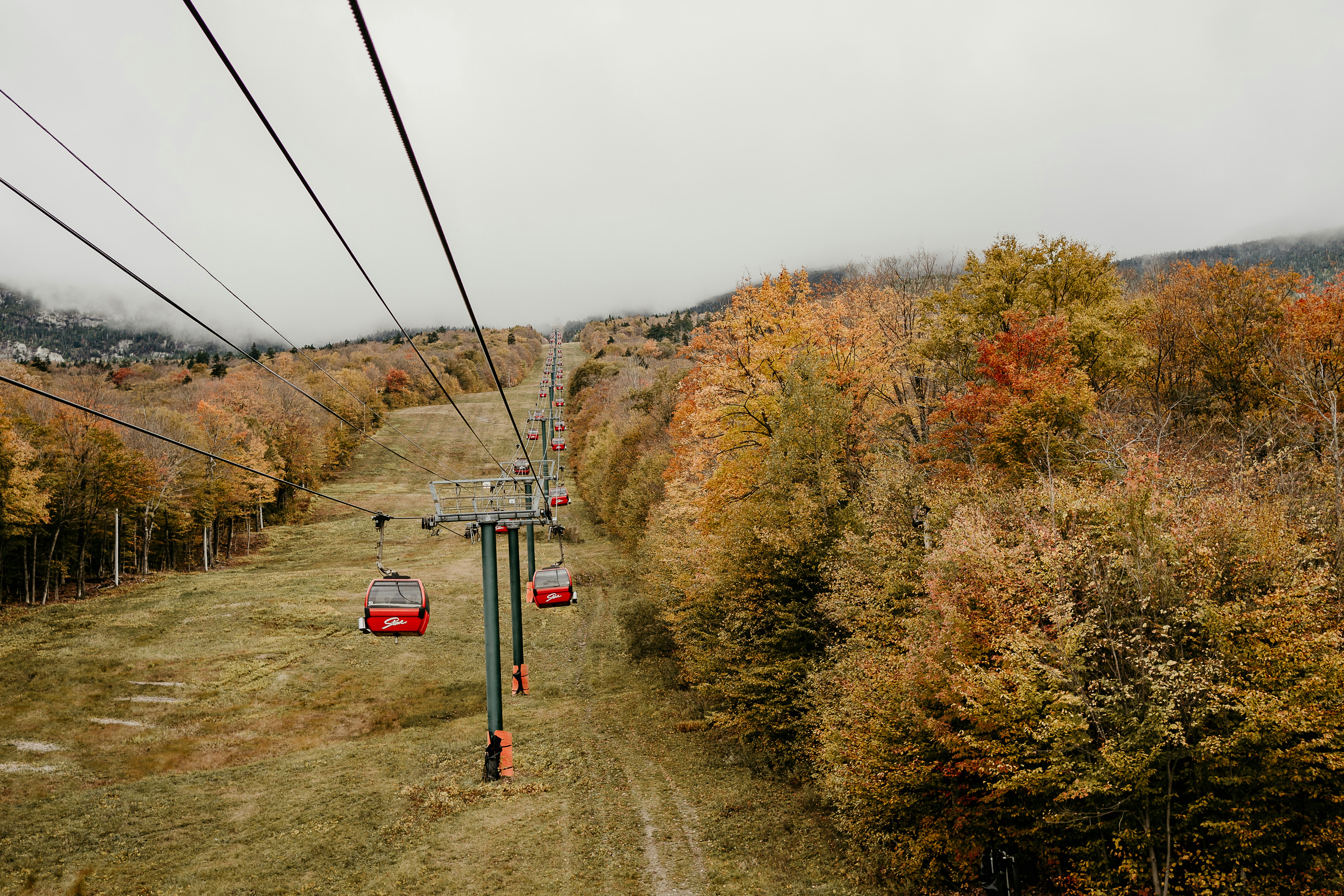 a red train traveling down tracks next to a forest, 