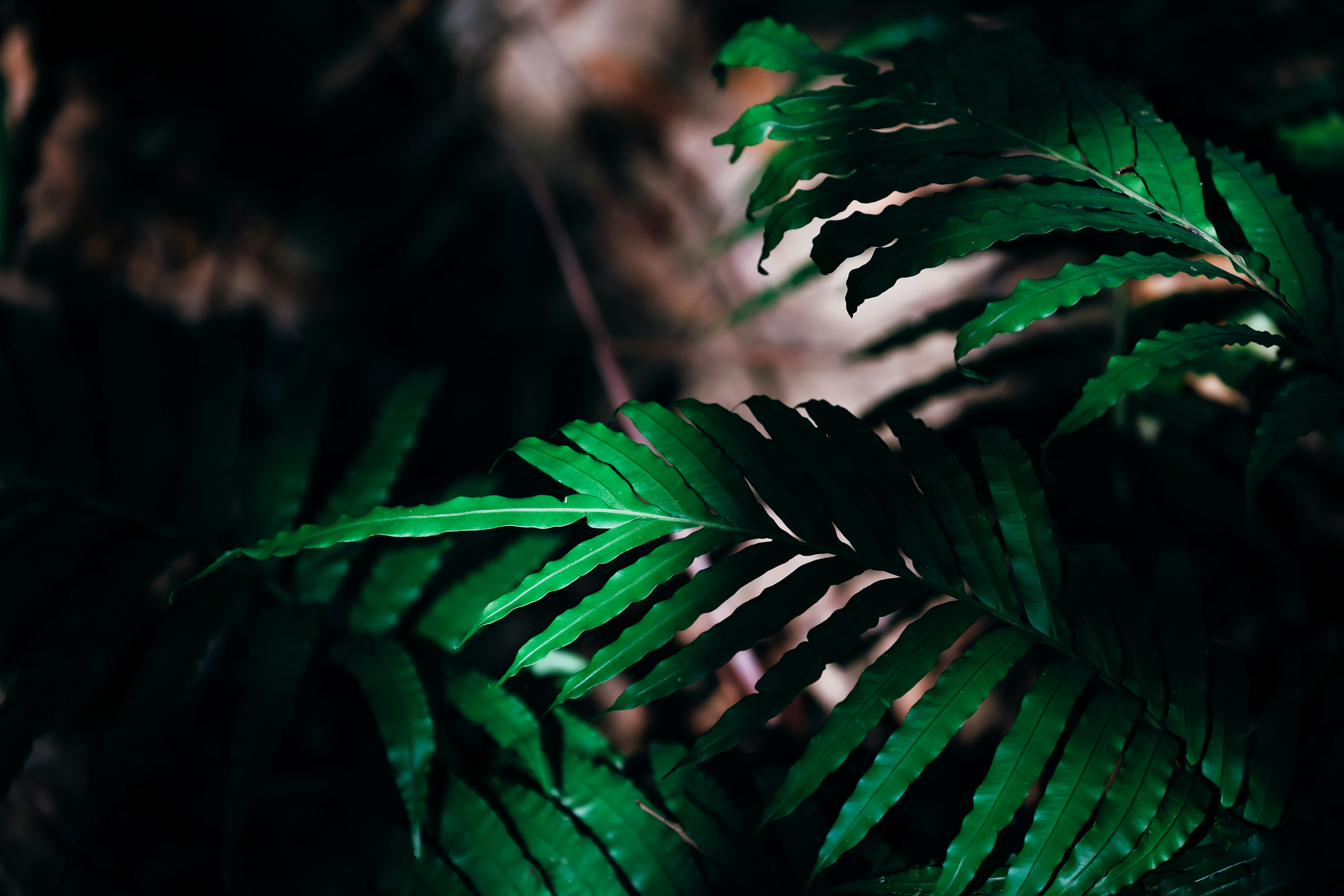 Photo by dickenslin76