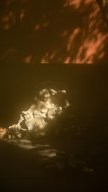 A shadowy scene with a warm, diffused glow illuminating a textured sculpture or piece of natural wood against a darker background. Surrounded by leaves, soft shadows and light patterns create a mysterious and calming atmosphere.