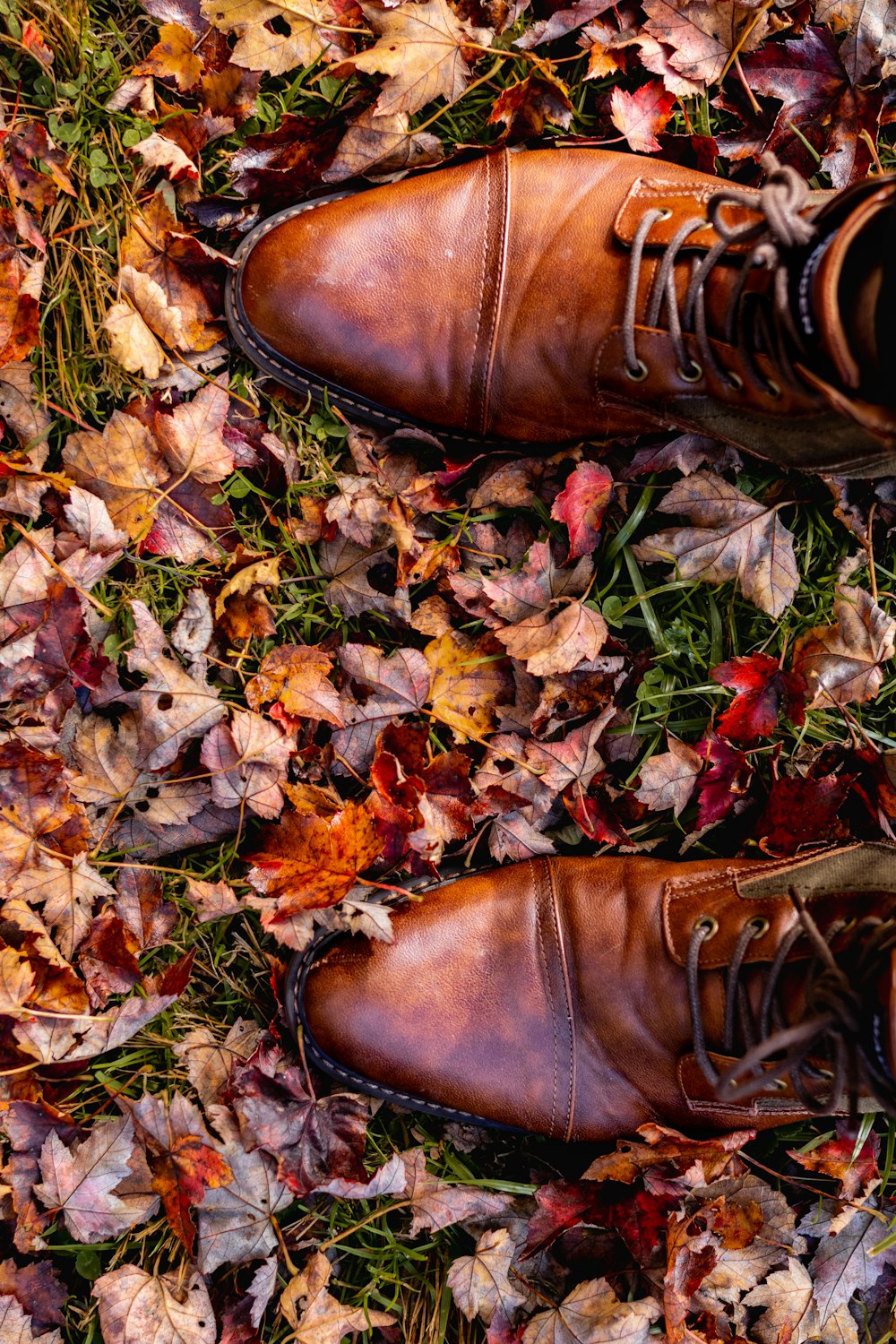 a pair of brown shoes sitting on top of a pile of leaves