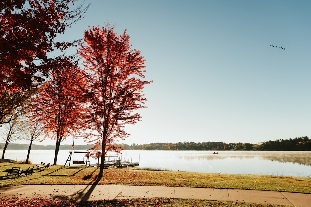 a park bench sitting next to a lake surrounded by trees